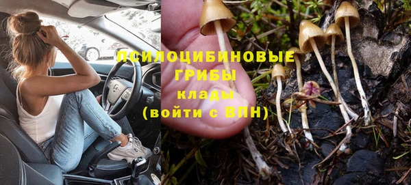 стафф Киренск