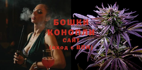 дживик Козельск