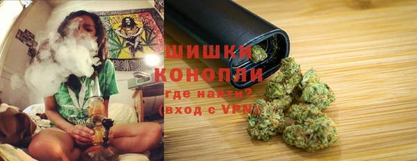 дживик Козельск