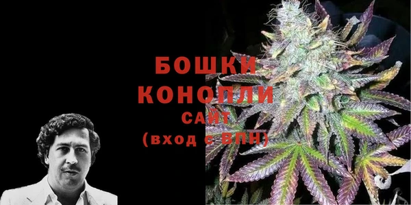 мдпв Кодинск